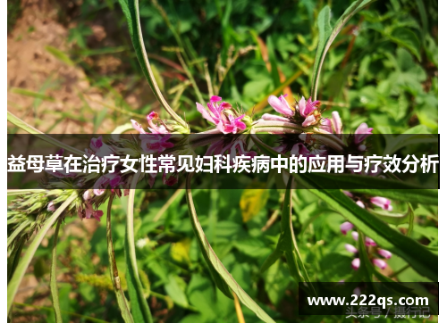 益母草在治疗女性常见妇科疾病中的应用与疗效分析