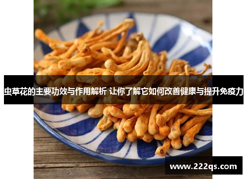 虫草花的主要功效与作用解析 让你了解它如何改善健康与提升免疫力